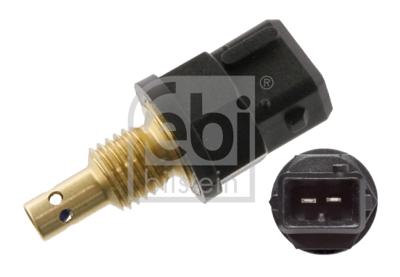 Sensor, intake air temperature